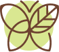 Paraben Free Icon